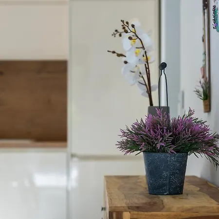 빌라 Bianca Pridraga