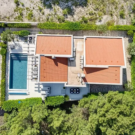 Bianca فيلة Pridraga