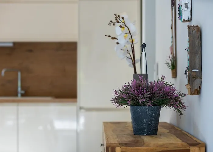 Villa Bianca Pridraga